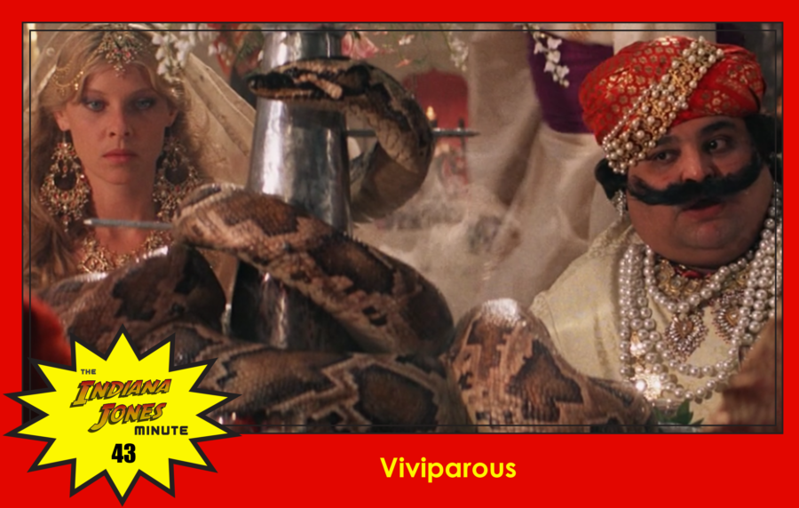 Temple of Doom Minute 43: Viviparous